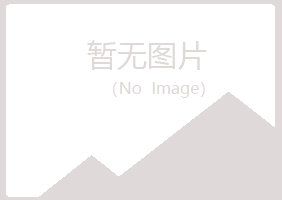 香港紫山机械有限公司